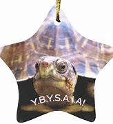 YBYSAIA