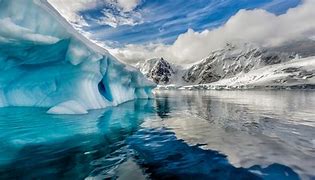antarctic