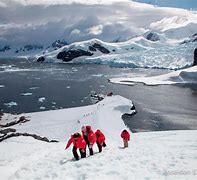 antarctic