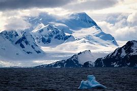 antarctic
