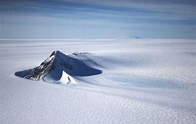 antarctic