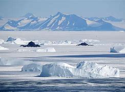 antarctic