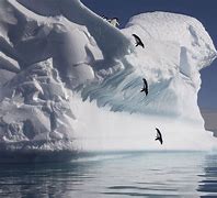 antarctic