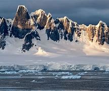 antarctic