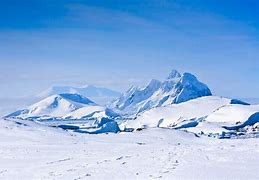 antarctic