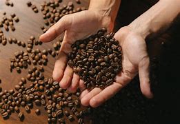 café