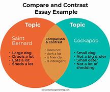 compare