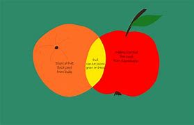 compare