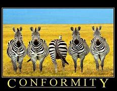 conform