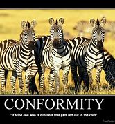 conform