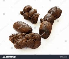 excrement
