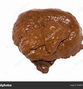 excrement