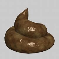 excrement