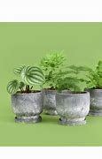 greenery