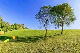 greenery