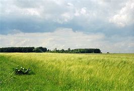 greenery
