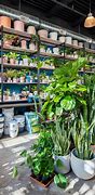 greenery