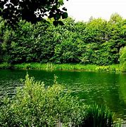 greenery