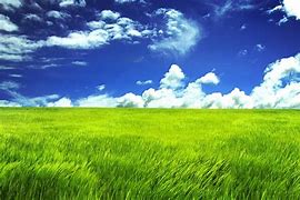 greenery