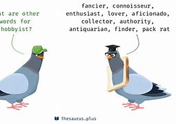 hobbyist