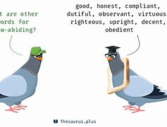 law-abiding