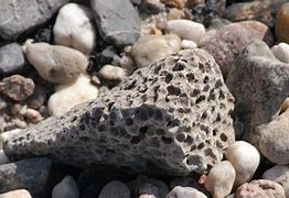 pumice