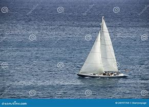 sloop
