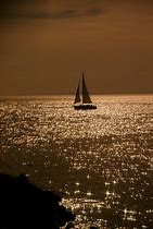 sloop