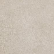 whitewash